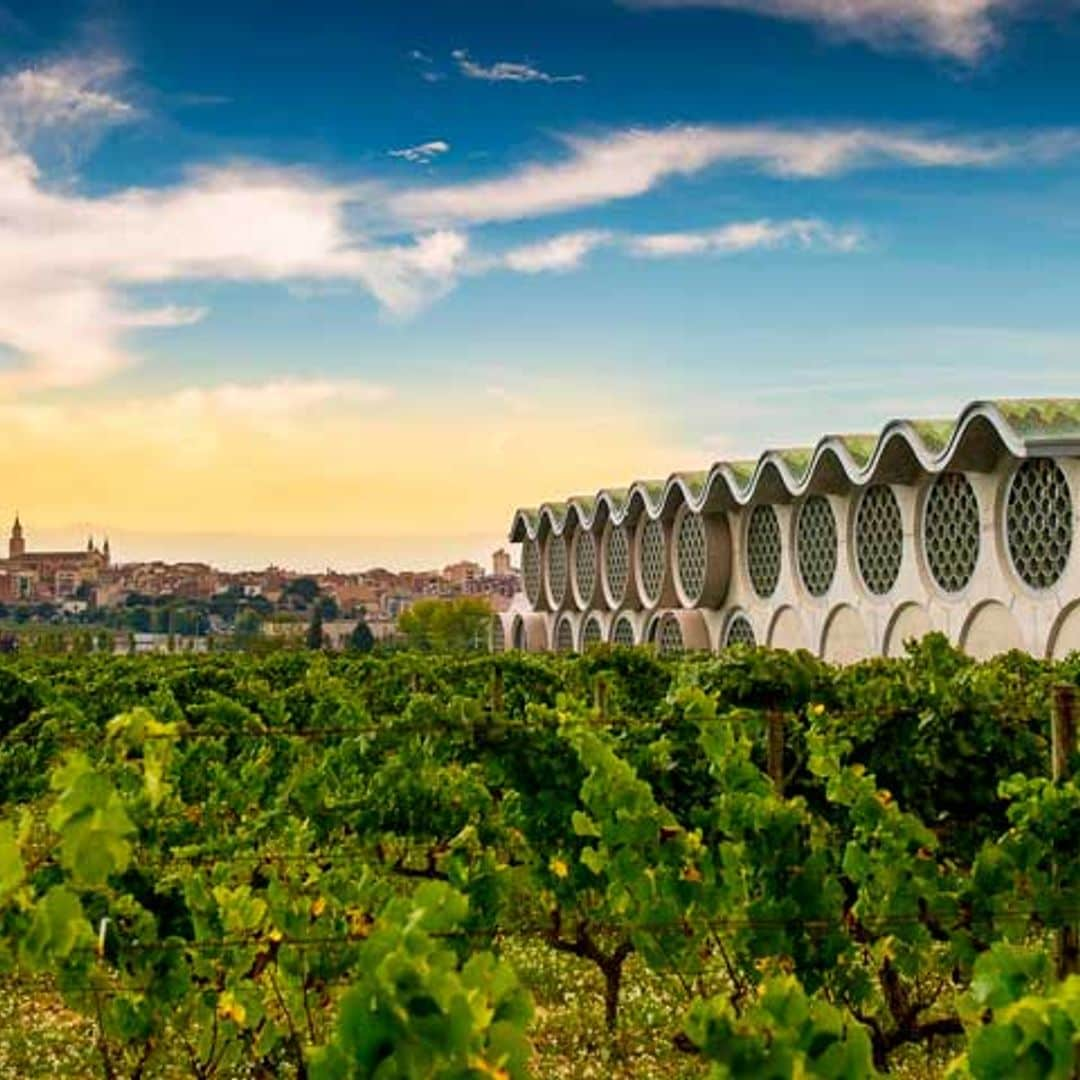 Ruta entre viñas: los mejores planes de enoturismo para ‘beberse’ el Penedès