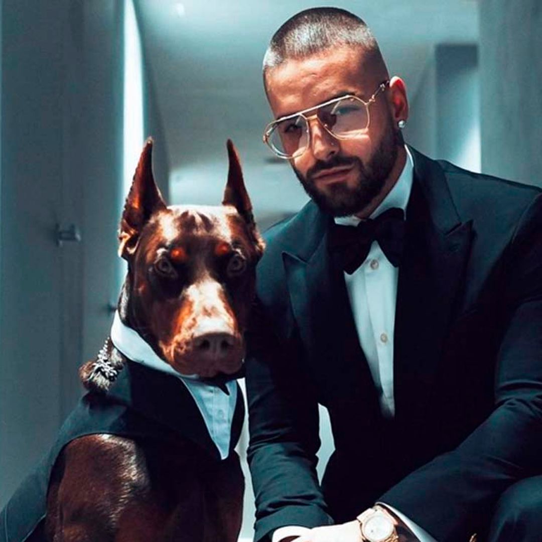 Maluma muestra las heridas del ataque de su perro, un dóberman europeo