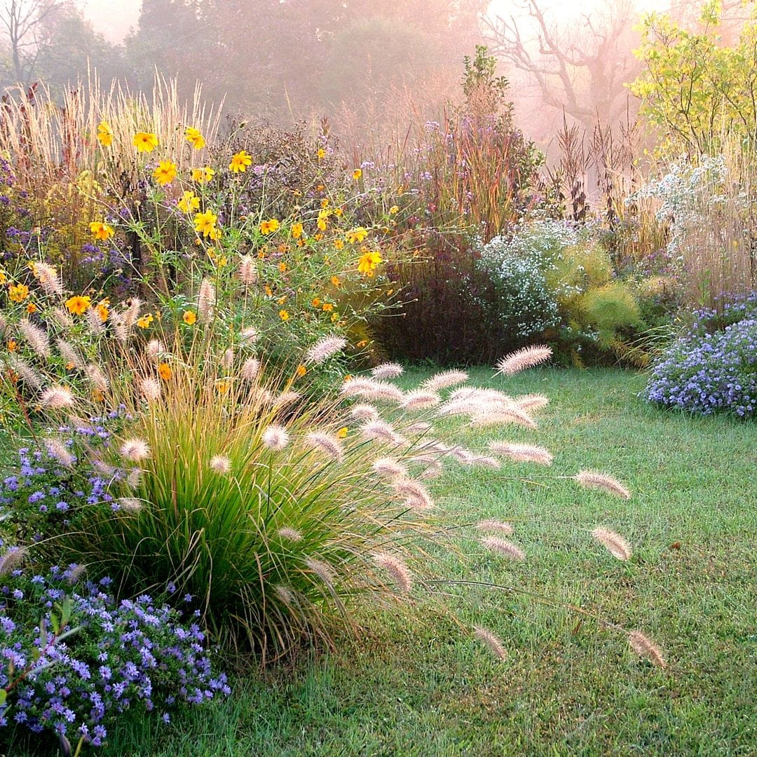 ¿Sabes cómo debes cuidar tu jardín después del verano? Prepáralo para la llegada del frío