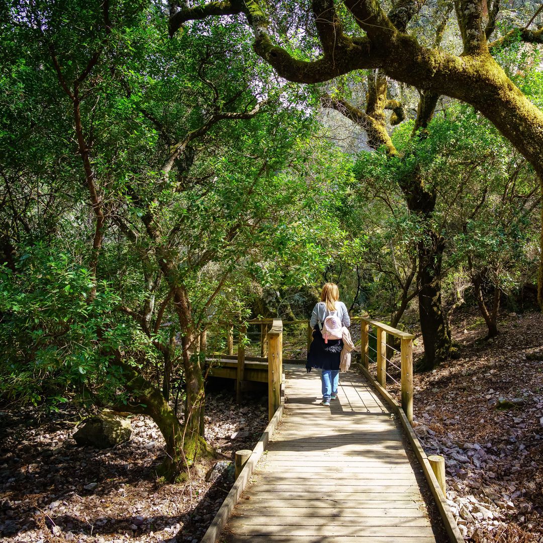 Path in the forest in the Batuecas Natural Park in Salamanca