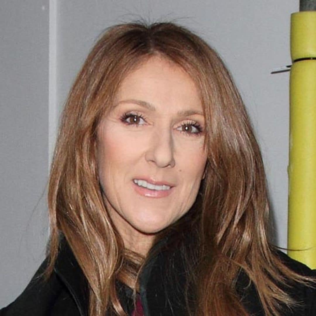 Las imágenes de la divertida reacción de Céline Dion cuando una pareja se comprometió frente a ella