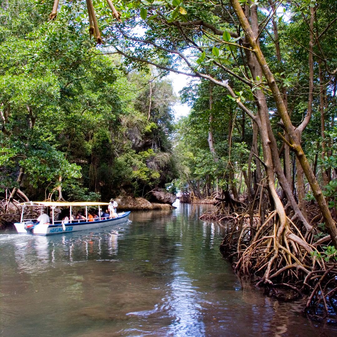 Parque Nacional Los Haitises, República Dominicana