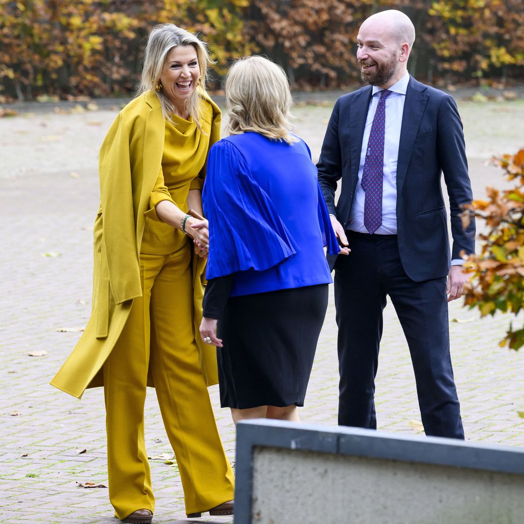 Máxima de Holanda look