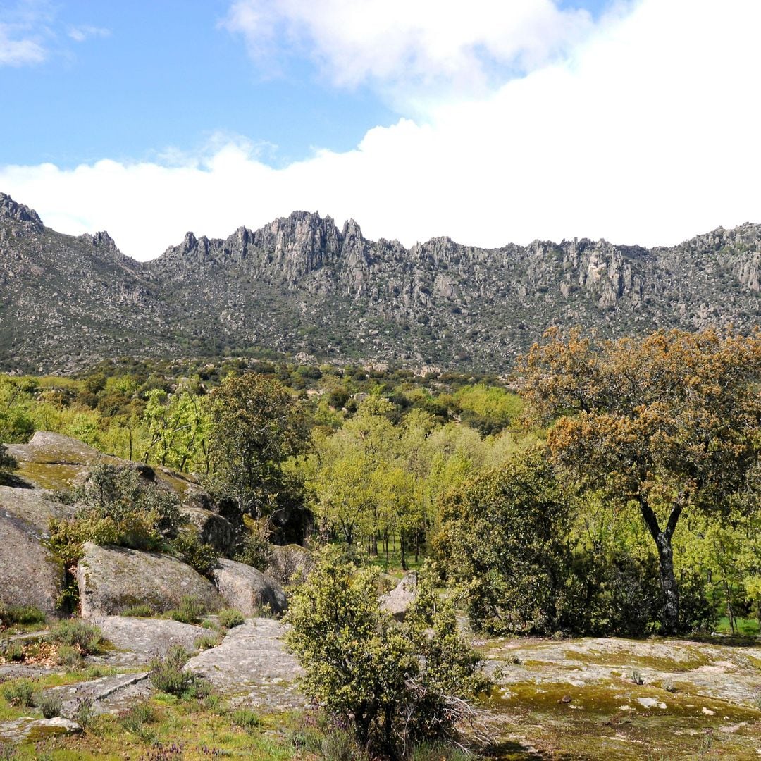 La sierra de la Cabrera, en la Comunidad de Madrid, con sus impresionantes formas graníticas.