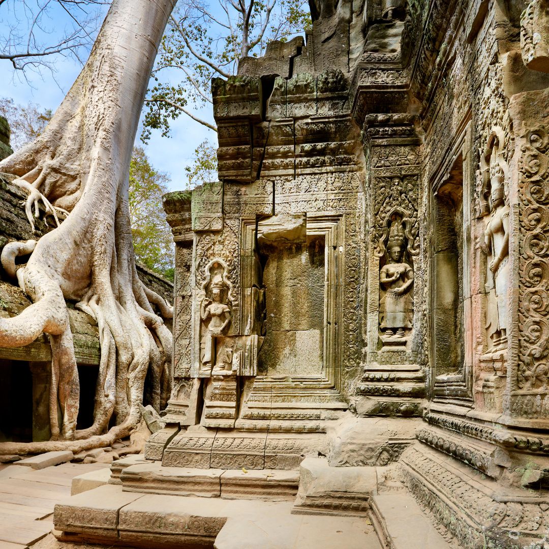 Templo Ta Prohm, en Angkor, Camboya