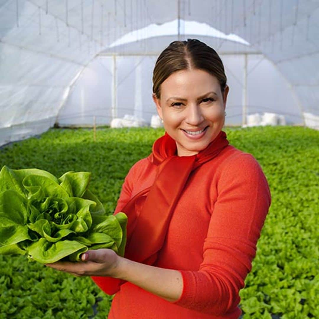 Formas de comer lechuga (que no son ensaladas)