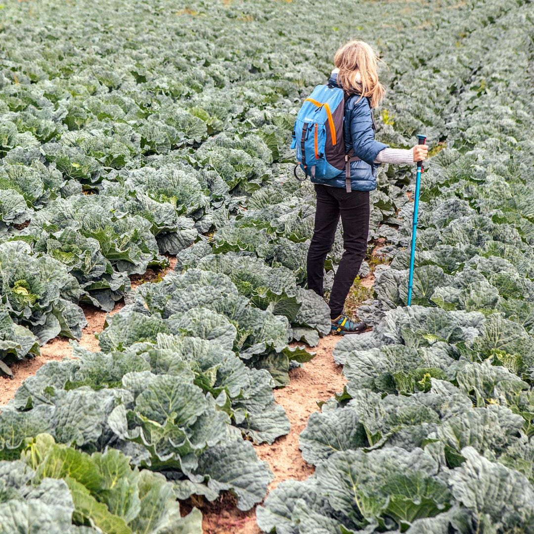 5 destinos y 5 planes gastronómicos para ir del campo a la mesa