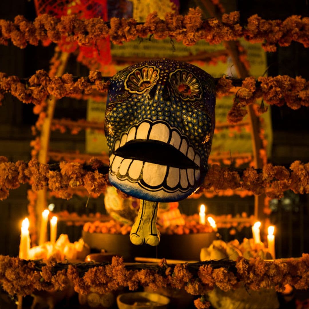 ¿Qué hacer con el cempasúchil de tu altar después de Día de Muertos?