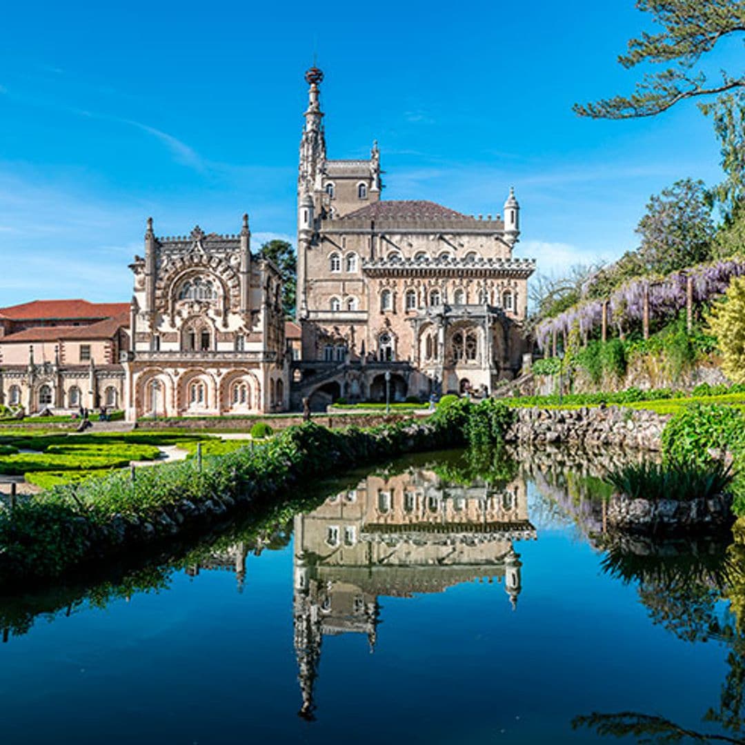 Bussaco, un bosque encantado que esconde el palacio más lujoso de Portugal