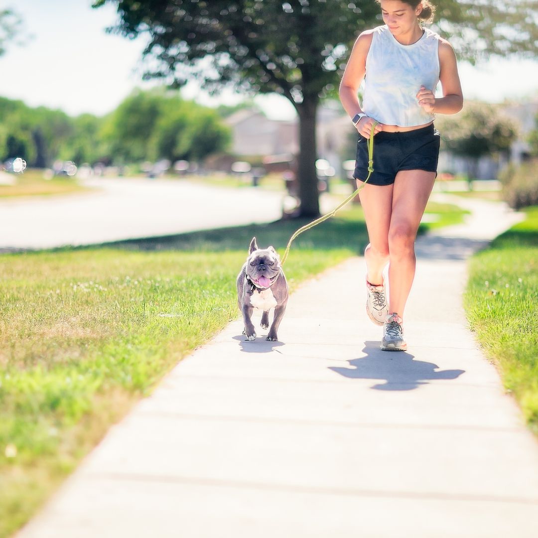 Las correas para perros más cómodas para salir a correr con ellos