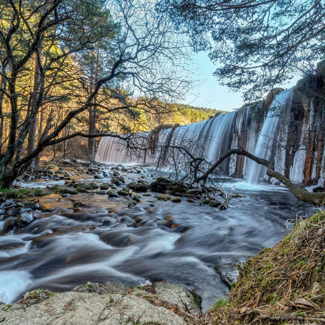 5 rutas de senderismo por Madrid para descubrir sus árboles más monumentales