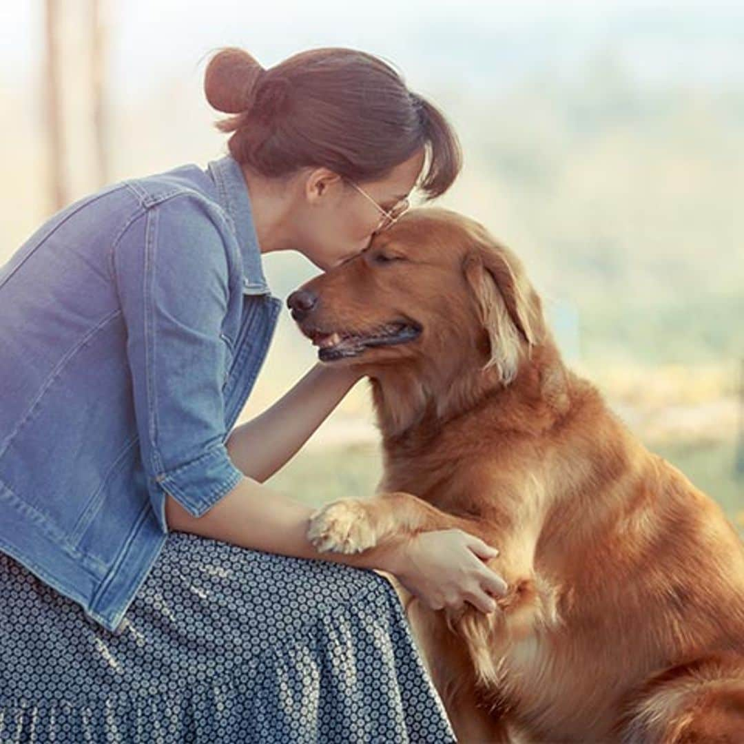 Las mejores razas de perro si sufres depresión