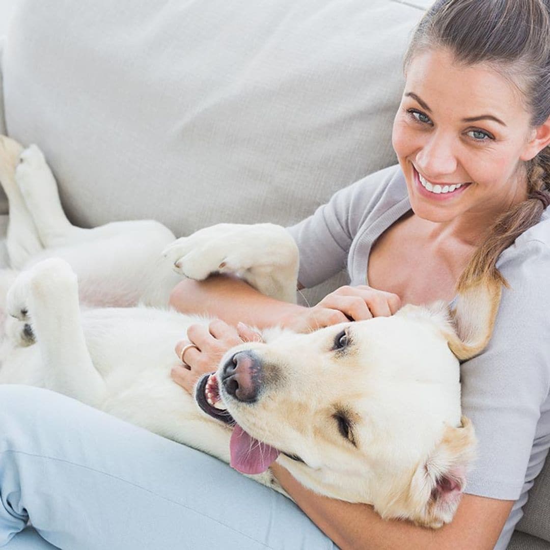 Así es como los perros ayudan a paliar la depresión humana