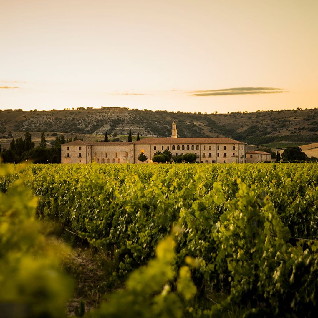 Bodega Abadía Retuerta, Ribera del Duero, Valladolid