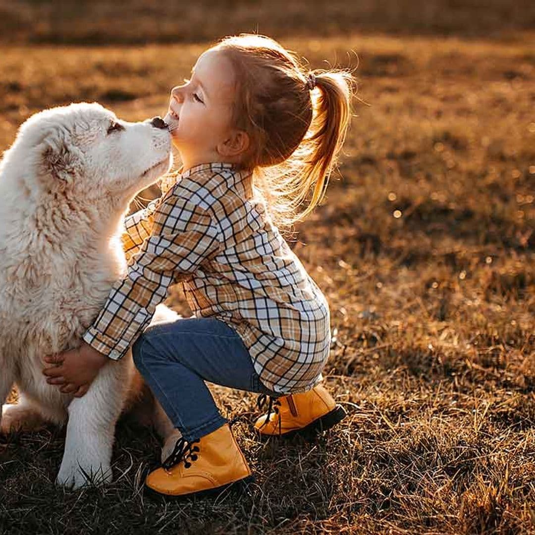 Cómo educar a los niños y a los perros para que interactúen sin problema