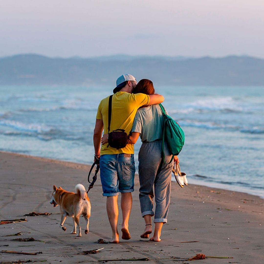 Doce destinos «pet friendly» para viajar en 2021 con tu mascota