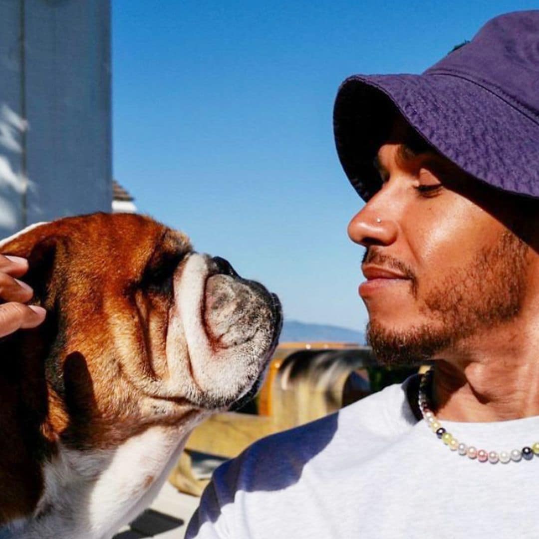 La fiesta de cumpleaños de Roscoe, el perro de Lewis Hamilton que triunfa en la pasarela y gana 700 euros al día