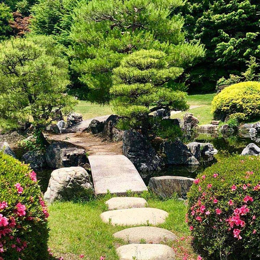 Todas las claves para plantear un jardín verde y frondoso, pero con un bajo consumo de agua