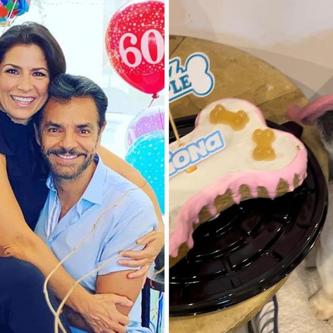 Con pastel y ‘Las Mañanitas’, Eugenio Derbez celebra el cumpleaños de su perrita, Fiona