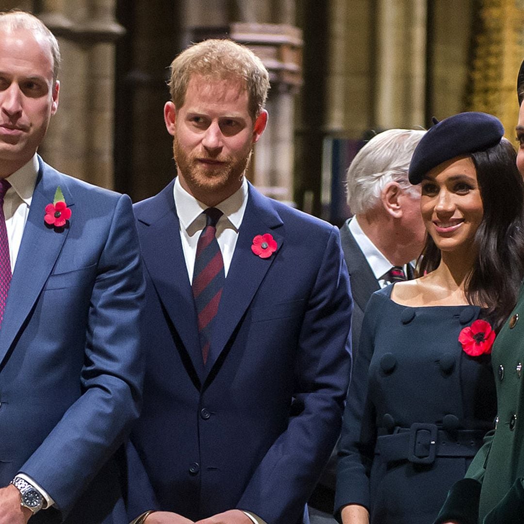 El tributo a Diana de Gales logra unir a los príncipes Guillermo y Harry en un importante acuerdo