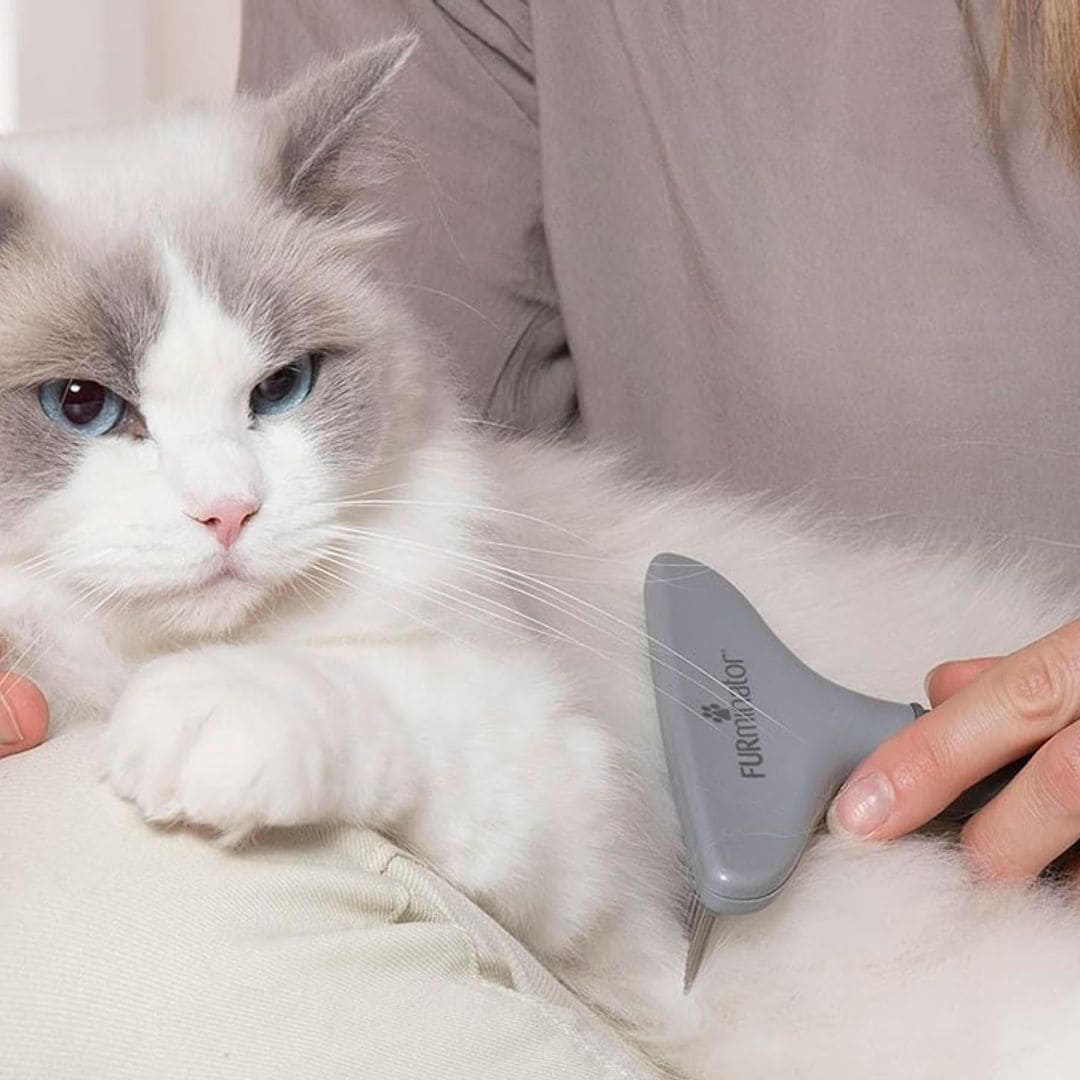 Este cepillo te permite quitar el 100% del pelo muerto de tu gato sin que apenas se entere