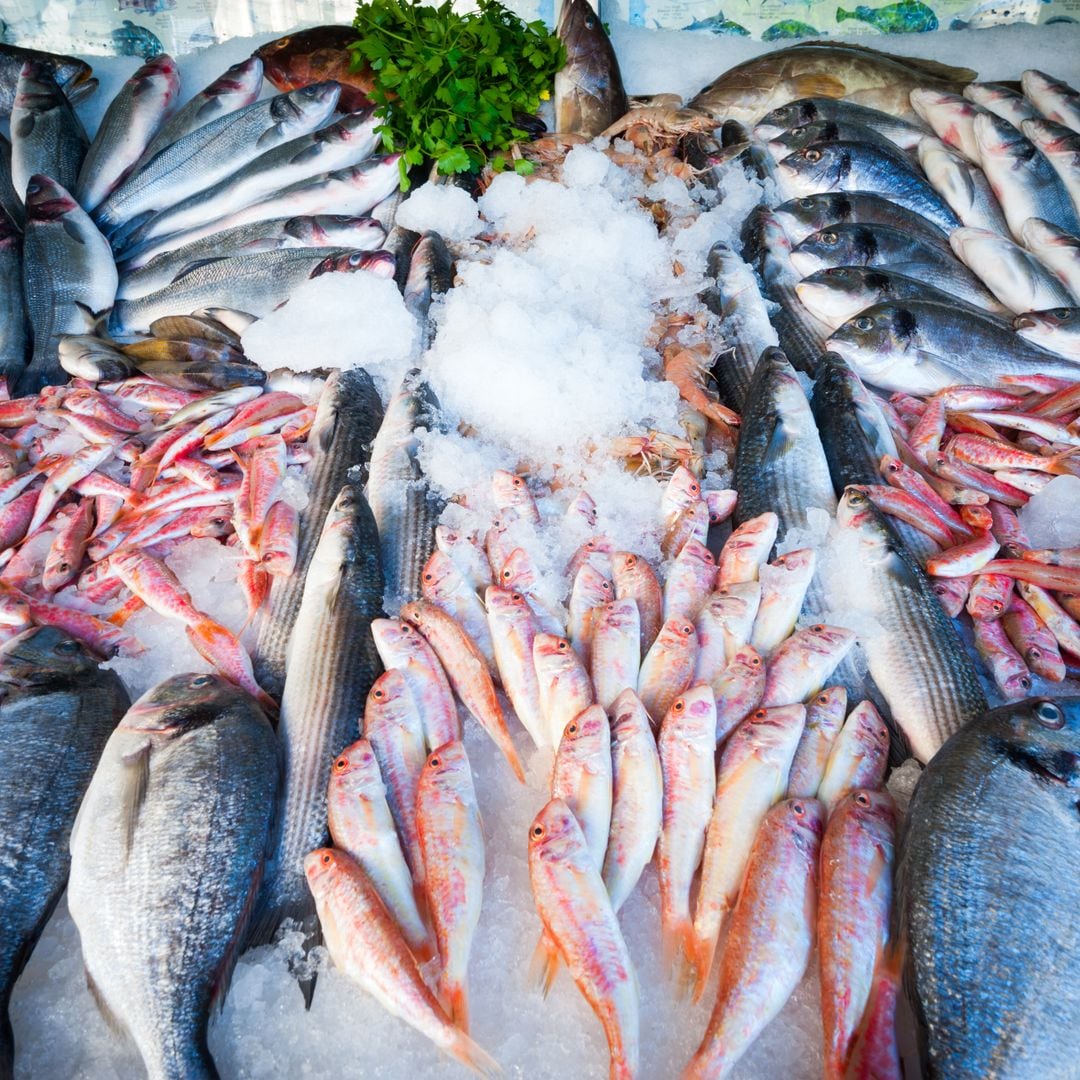 Pescado salvaje y pescado de crianza, dos alternativas igual de válidas