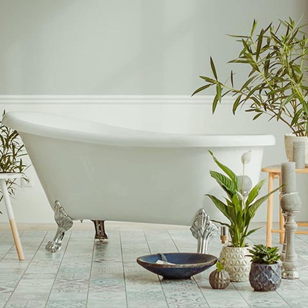 Plantas para tu cuarto de baño