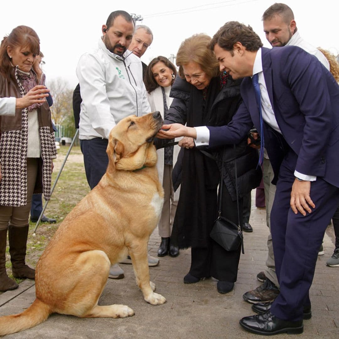 Las simpáticas imágenes de doña Sofía en su visita al centro municipal de protección animal de Las Rozas