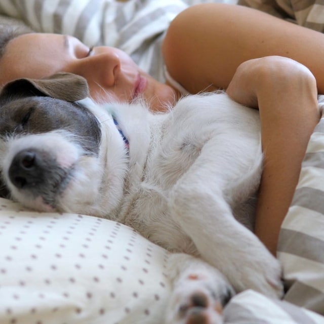 dormir con perro