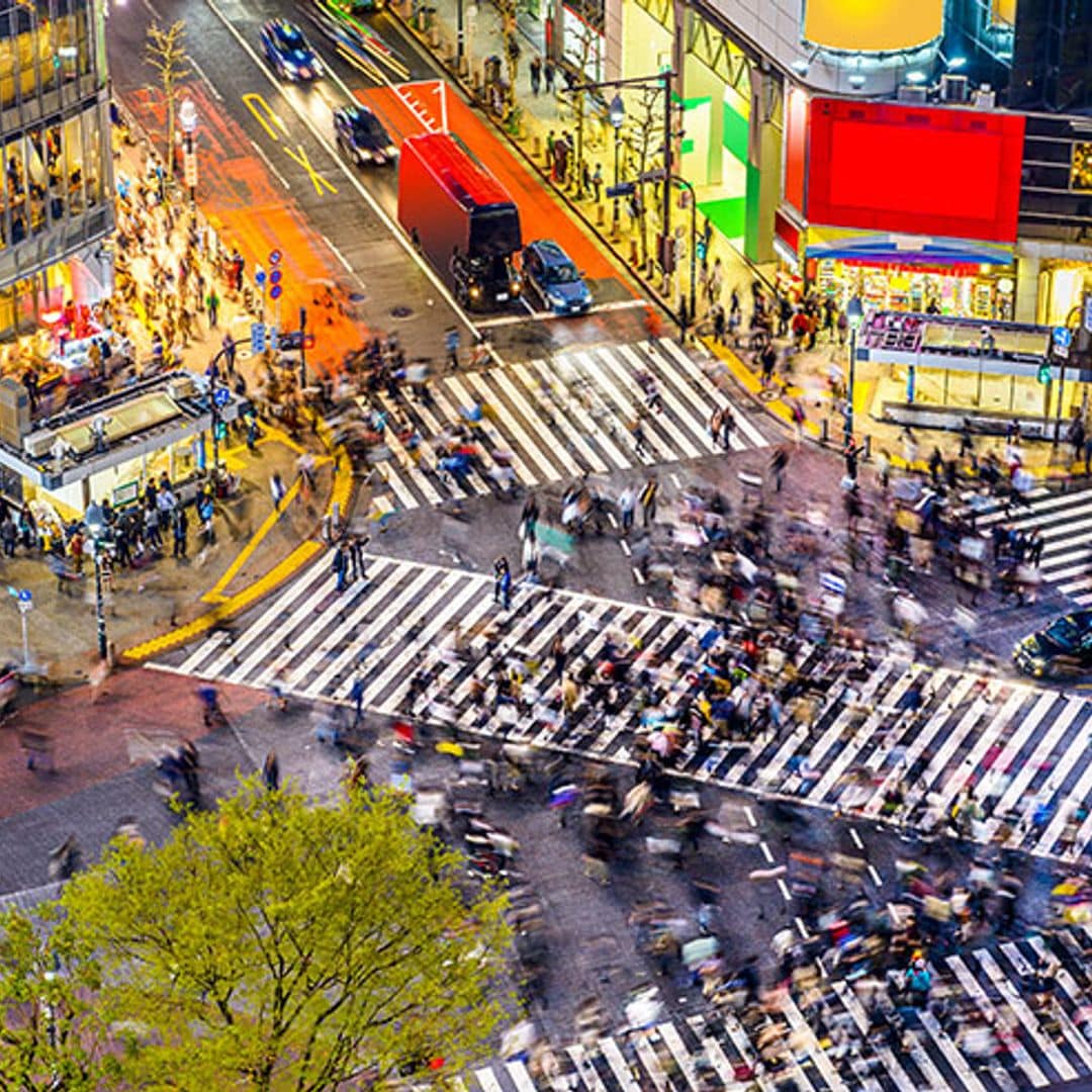 Tokio barrio a barrio, del glamour de Ginza a las alturas de Shinjuku