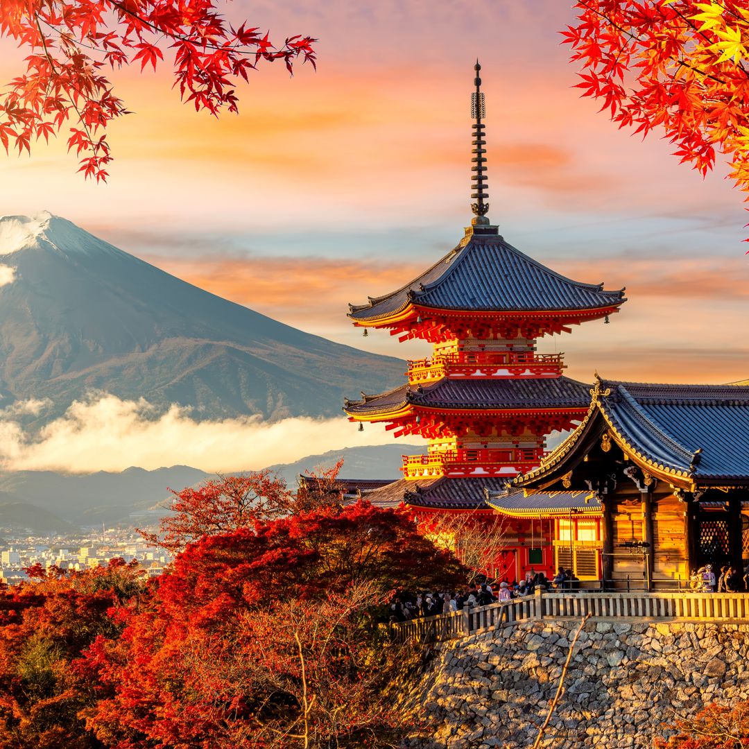 Un viaje gastronómico por Japón: descubre los sabores más auténticos como un verdadero local