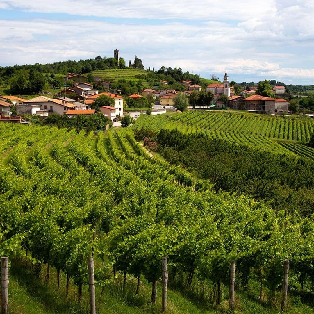 Nos vamos de ruta por Goriska Brda, la Toscana eslovena 