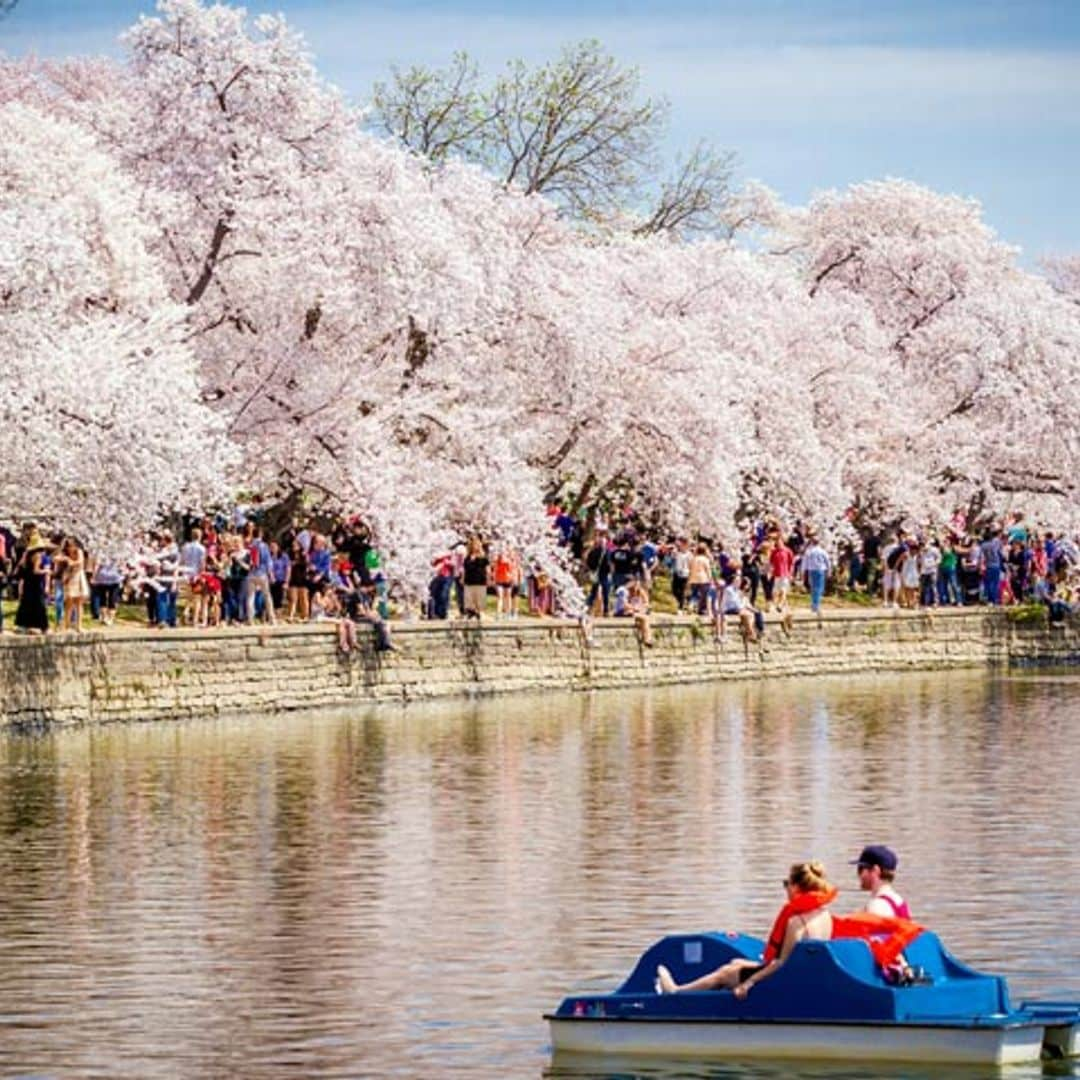 Descubriendo Washington D.C en primavera, los imprescindibles en la capital de Estados Unidos