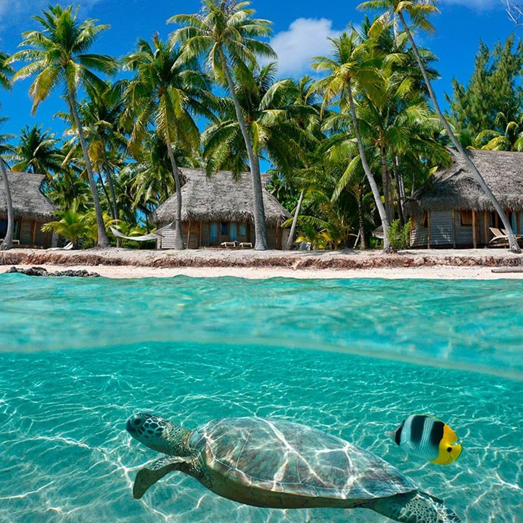 El archipiélago de las Tuamotu o el paraíso perdido de la Polinesia