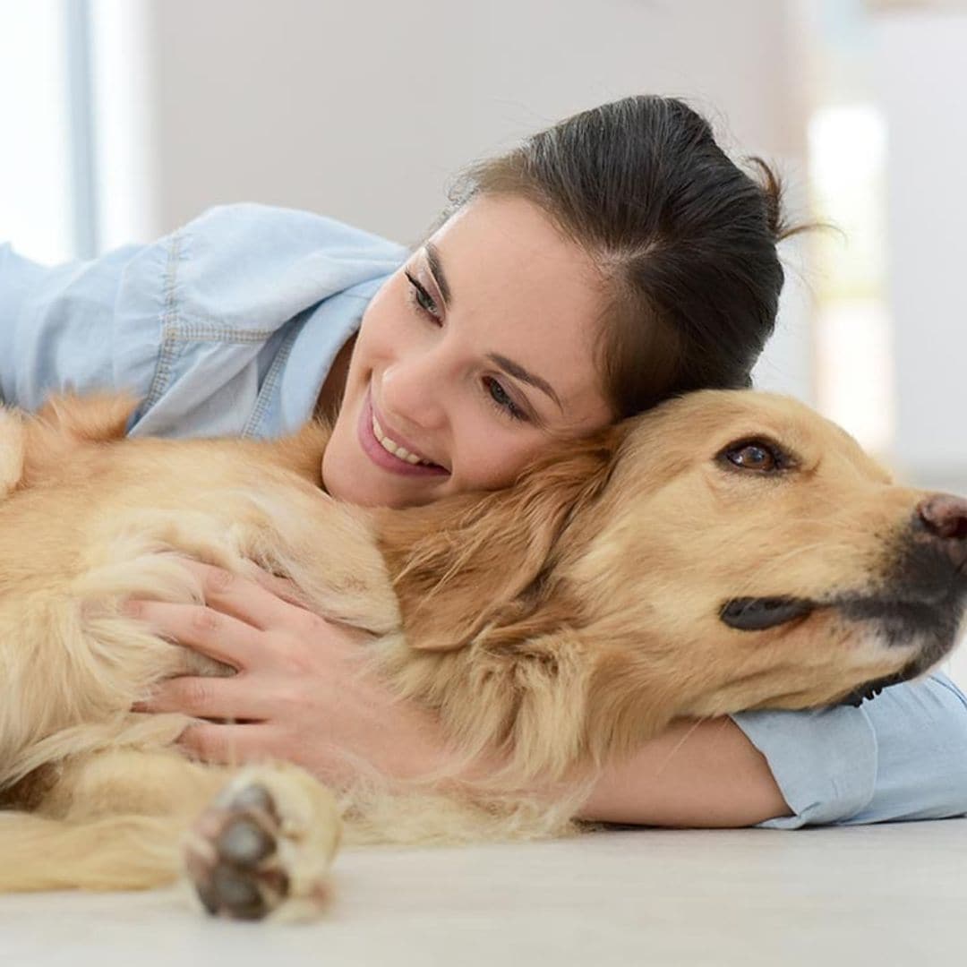 Contra la tensión, abraza a tu perro