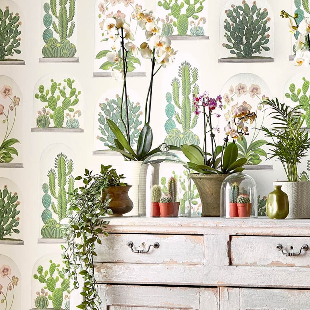 La última tendencia: decorar con cactus