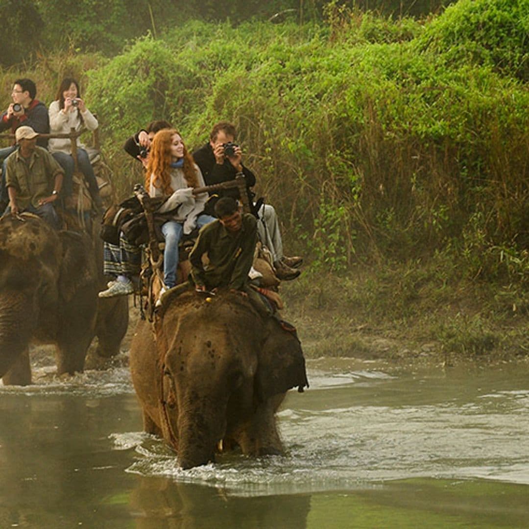 ¿Y un safari en elefante por la selva de Nepal?