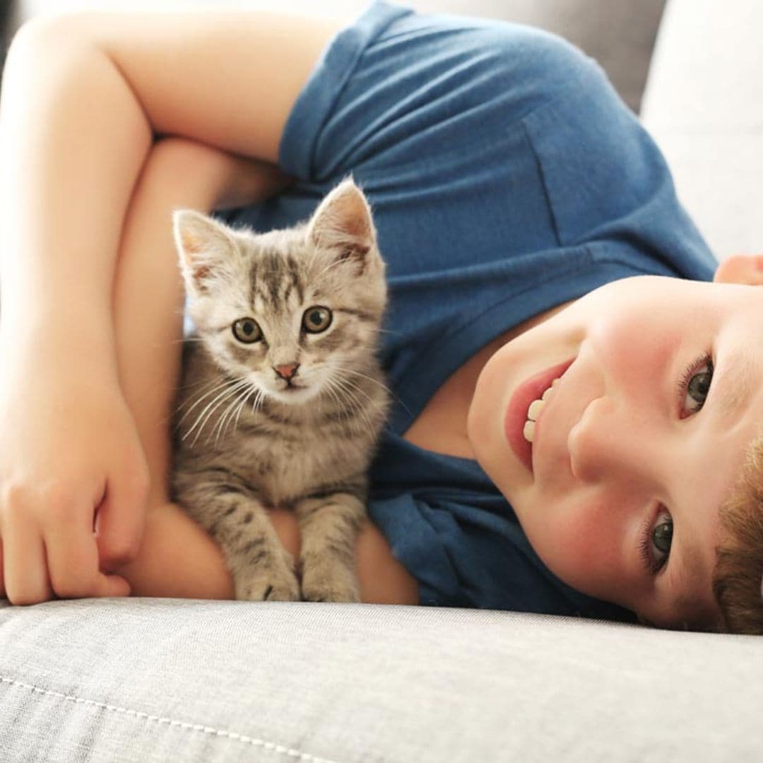 ¿Cuáles son las mejores razas de gato para convivir con niños?