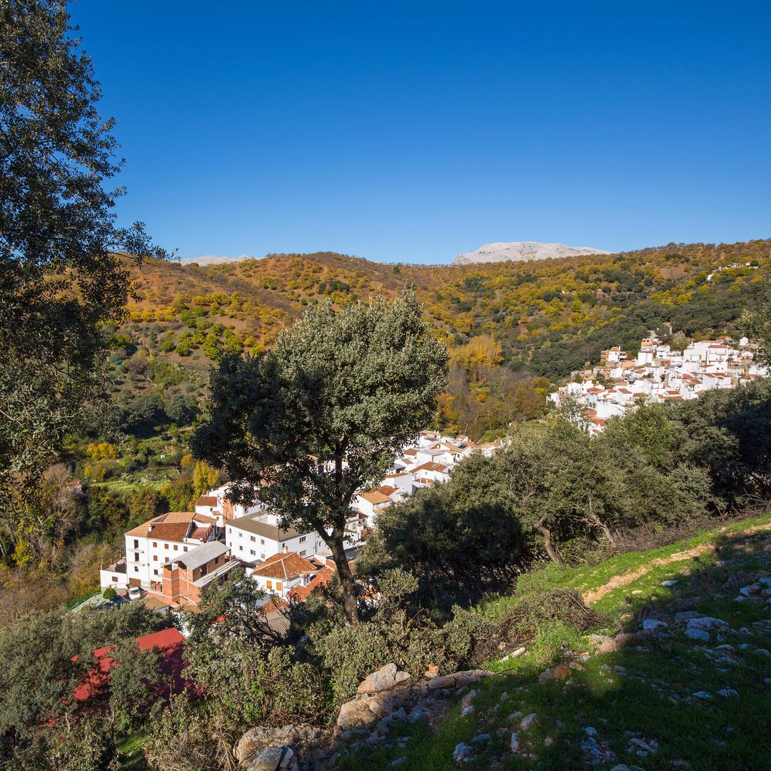 Villa de Igualeja, Valle del Genal, Serranía de Ronda, Málaga