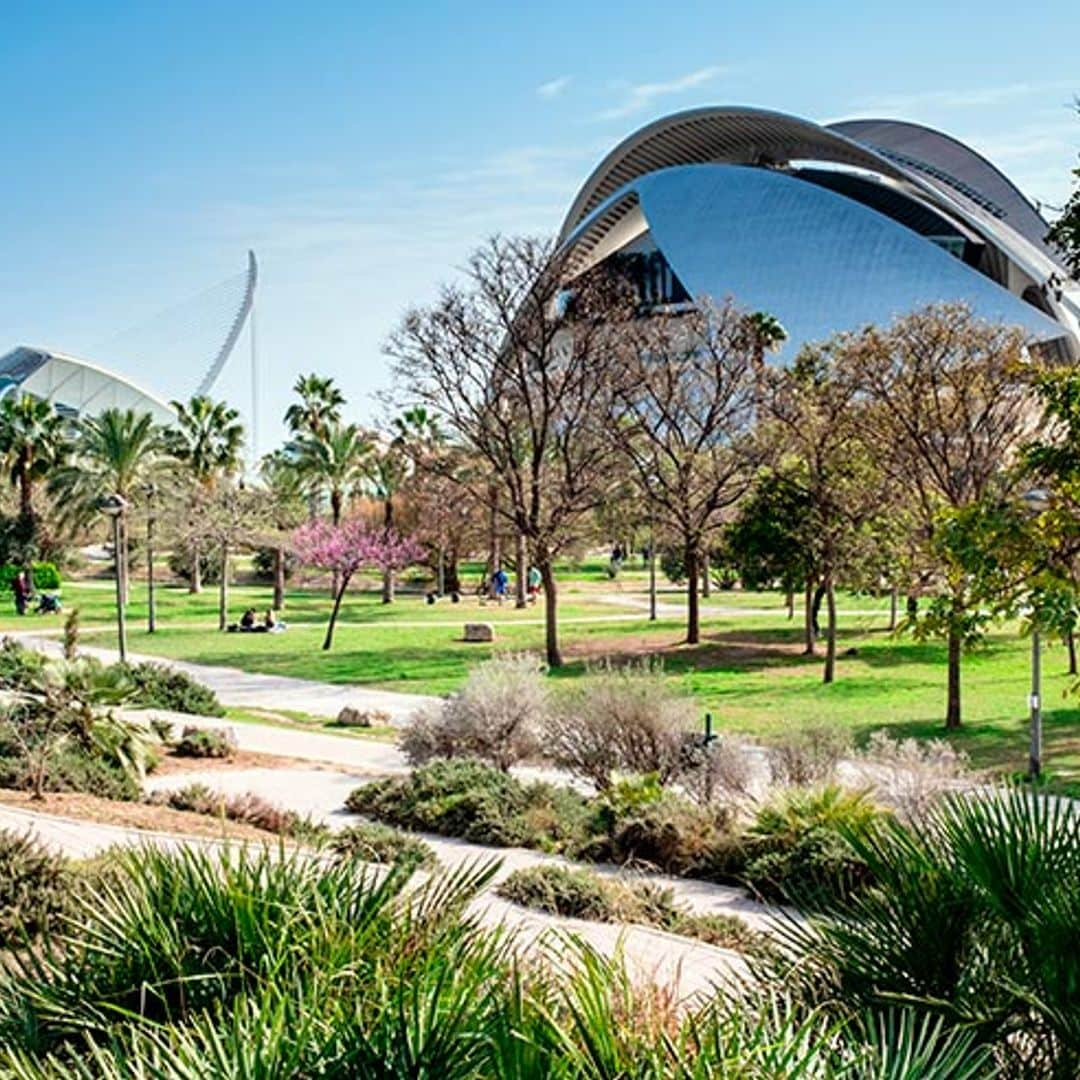 Planes en la Ciudad de las Artes y las Ciencias más allá de los Goya