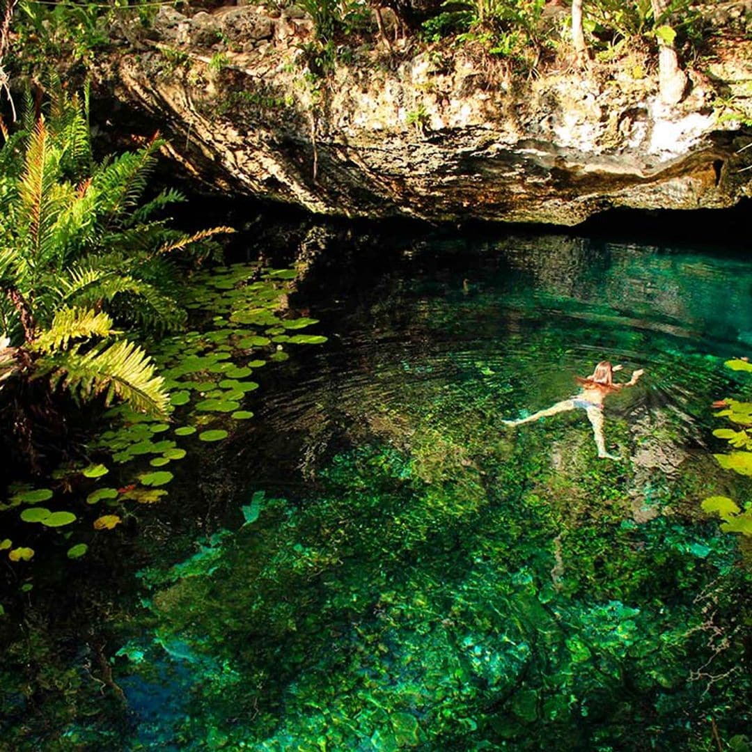 paisajes verdes