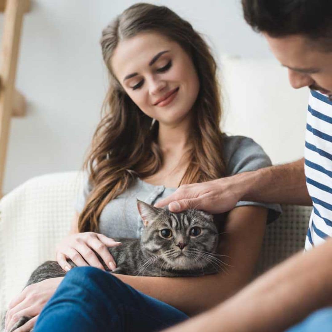 ¿Tu pareja tiene gato? Claves para aprender a amarlos