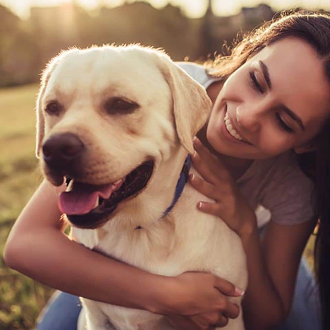 El contacto físico con tu perro es muy importante