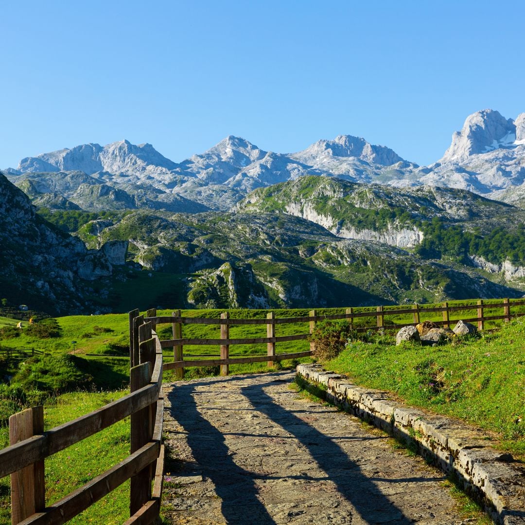 Picos de Europa, Asturias, Cantabria, León