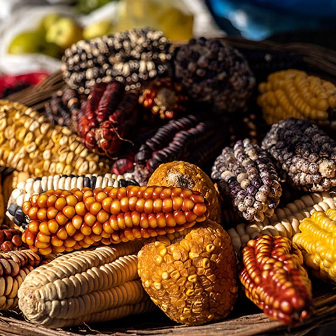 Sabores de ida y vuelta