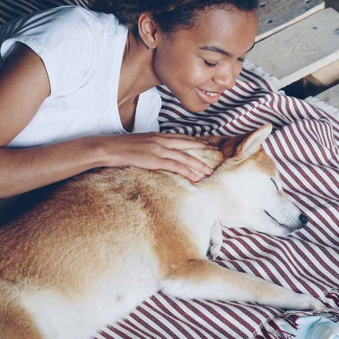 Elige la oreja adecuada para hablar a tu perro (cada una tiene una función)