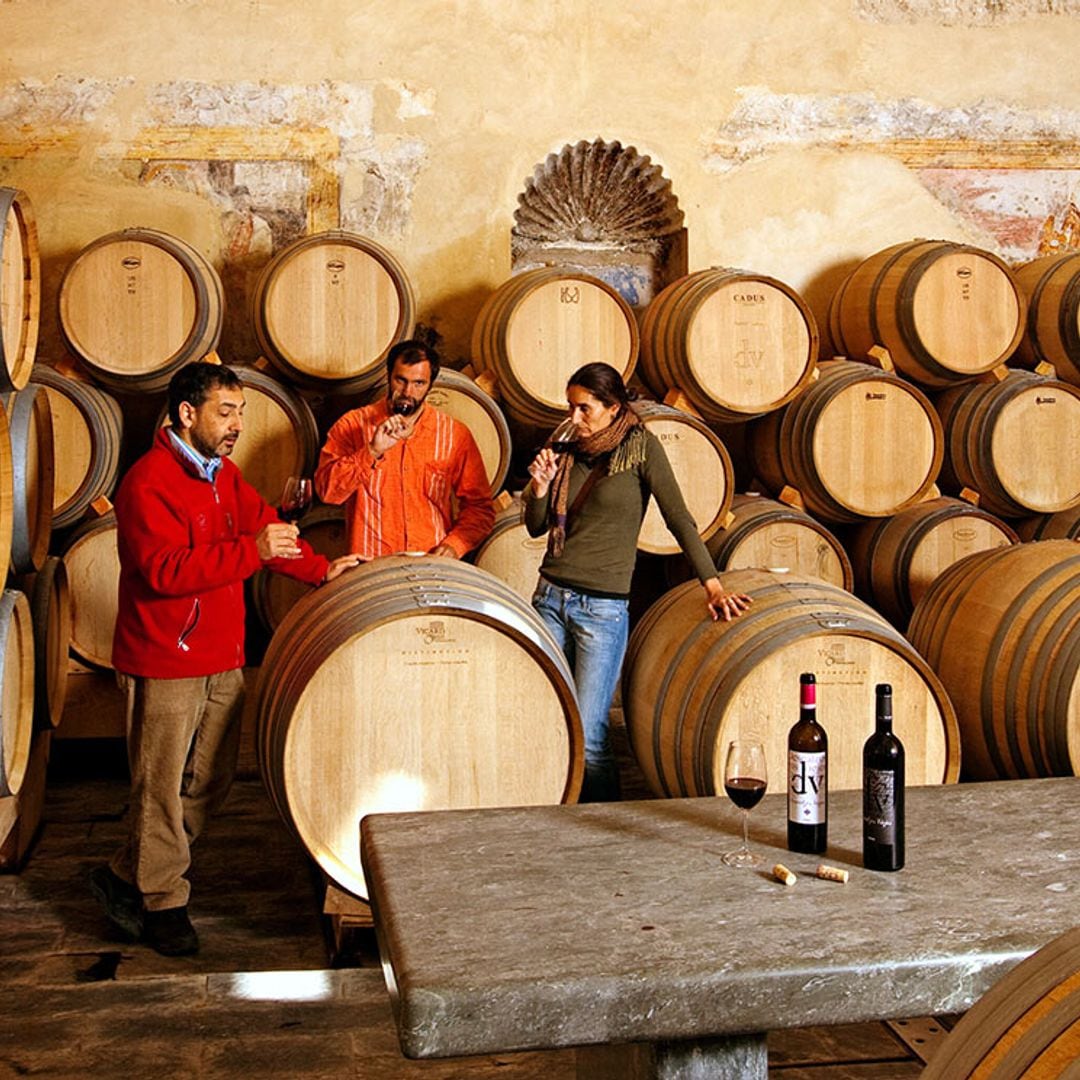 Ronda, la ciudad soñada... y la de las bodegas