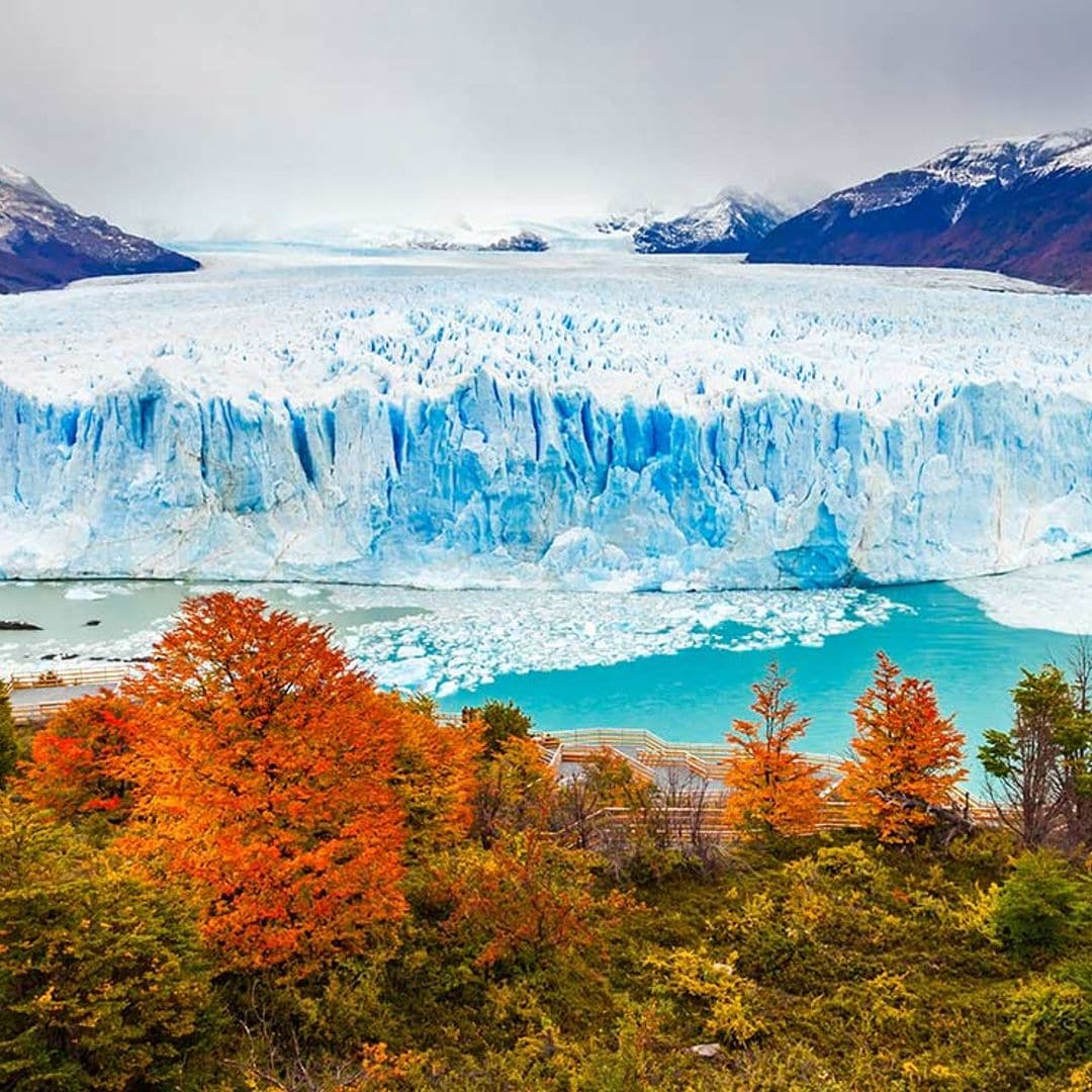 Perito Moreno, por el más espectacular de los glaciares andinos