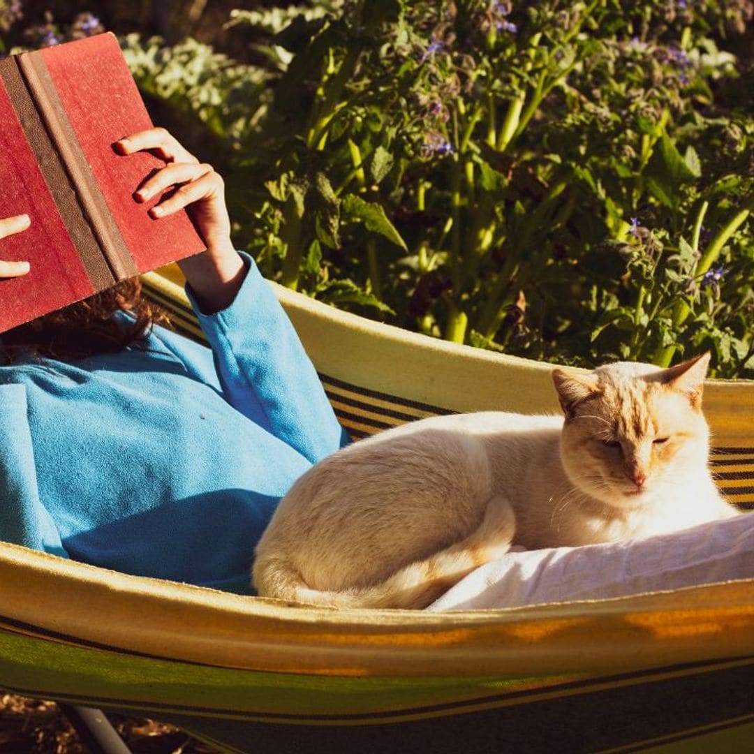 Los 40 libros más recomendados que no pueden faltar en tu biblioteca este 2024