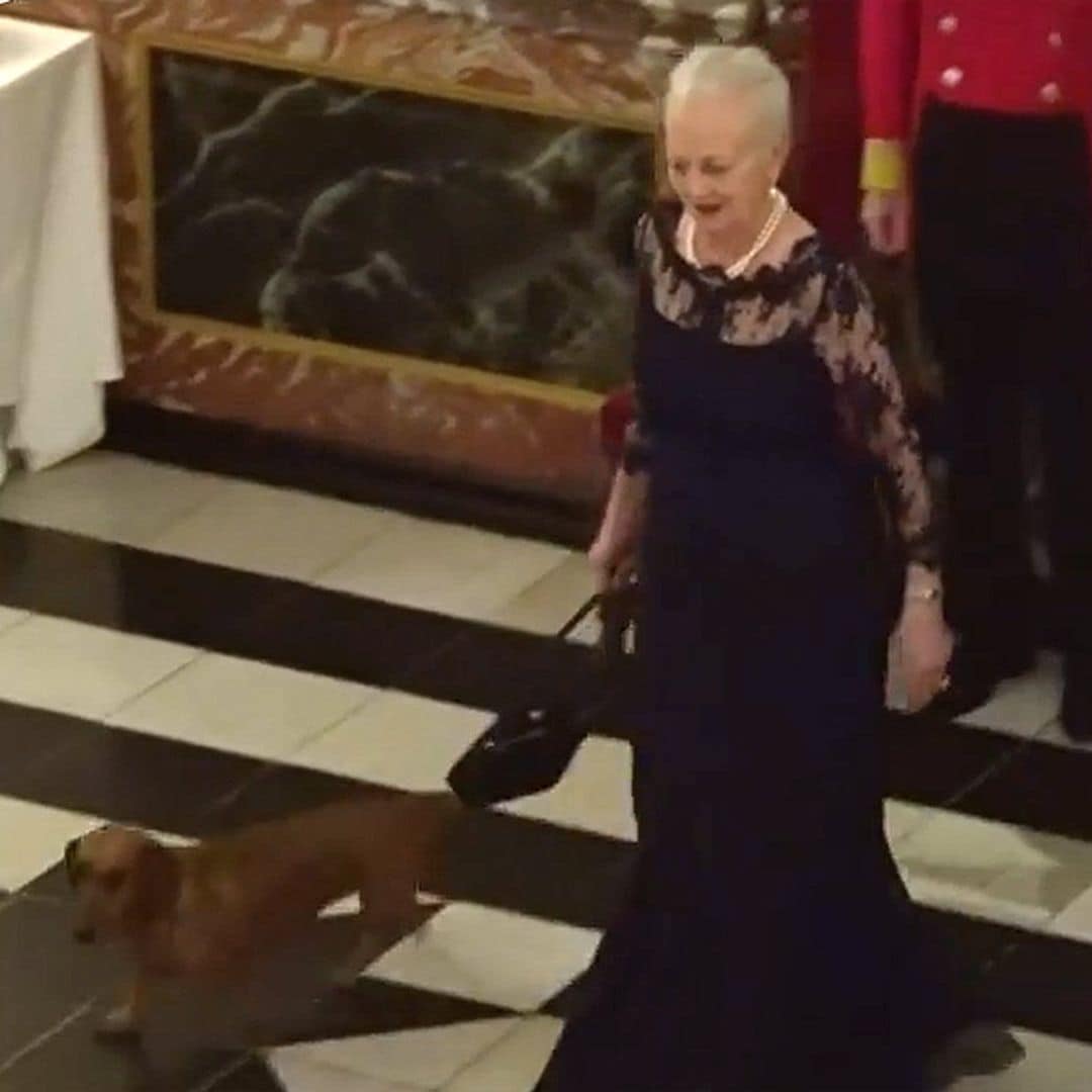 ¡Lo nunca visto! El perro de Margarita de Dinamarca, inesperado protagonista en una cena de gala en palacio